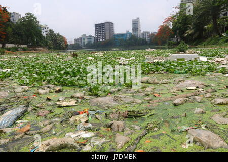 Dhaka 20 Mai 2017. Dhaka Gulshan See Verschmutzung zeigt Wasserverschmutzung in Gulshan See wird immer noch schlimmer, als gefährlicher Abfälle deponiert werden deaktiviert. Stockfoto