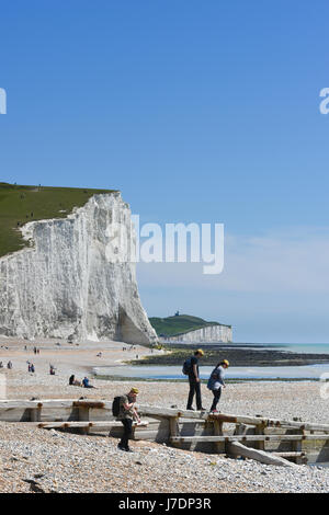 Hintergrund an einem Sommertag.  Sieben Schwestern, East Sussex, UK Stockfoto
