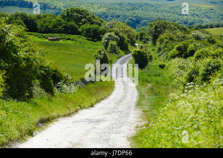 Fuß den South Downs Way in der Nähe von Touristenort in East Sussex, UK Stockfoto