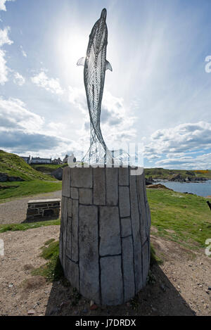 Portsoy Banff & Buchan, Aberdeenshire. Schottland. VEREINIGTES KÖNIGREICH. Stockfoto