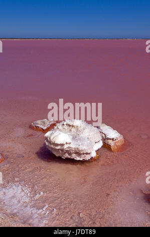 Ein Hochformat von Salz verkrustet Objekt in Hutt Lagoon, oder das rosa See, in der Nähe der Port Gregor in Western Australia Stockfoto