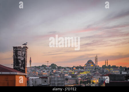 Istanbul-Moschee Stockfoto
