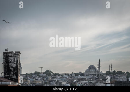 Istanbul-Moschee Stockfoto
