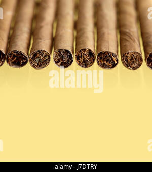 Einige Zigarren in einer Reihe auf gelbem Grund mit Reflexion Stockfoto