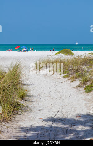 Pfad zum Lido Strand am Golf von Mexiko auf Lido Key in Florida Saraspta Stockfoto