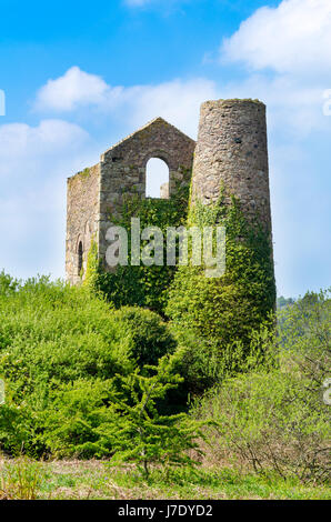 Motor-Haus an der Daubuz-Welle von Süden Wheal Frances Mine in der Nähe von Treskillard, Redruth, Cornwall, UK. Gebäude befindet sich eine 30-Zoll-Engine, die Vereinten Nationen Stockfoto