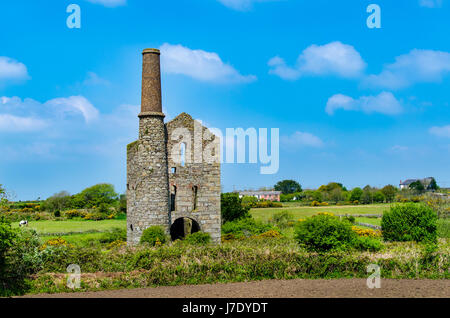 Die Pumpen Motor bei Pascoe Welle, South Wheal Frances, Treskillard, Redruth, Cornwall, UK. Erbaut im Jahre 1881. Stockfoto