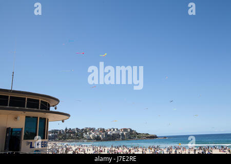 Festival der Winde, Bondi Beach, Sydney. Drachenfliegen Festival. Stockfoto