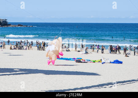 Festival der Winde, Bondi Beach, Sydney. Drachenfliegen Festival. Stockfoto