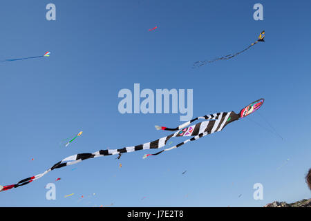 Festival der Winde, Bondi Beach, Sydney. Drachenfliegen Festival. Stockfoto