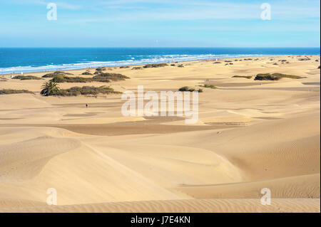 Landschaft mit Sanddünen am Strand von Maspalomas. Gran Canaria, Kanarische Inseln, Spanien Stockfoto