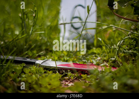 Tatort, Mord, Untersuchung, blutiges Messer auf dem Rasen, im Verlauf der Untersuchung Stockfoto