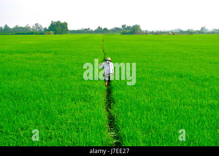 Landwirt, Mekong Delta, Vietnam Stockfoto