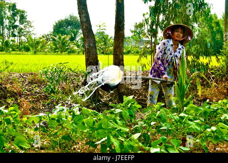 Hart arbeiten, Landwirt, Mekong-Delta, Vietnam Stockfoto