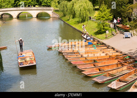 Cambridge, UK. 24. Mai 2017. Touristen genießen Stechkahn fahren auf dem Fluss Cam im heißen, sonnigen Wetter. Die Temperaturen erreichten 24,5 Grad Celsius und die Wettervorhersage ist für noch wärmeres Wetter im Osten Englands für das bevorstehende Wochenende und Feiertagen. Bildnachweis: Julian Eales/Alamy Live-Nachrichten Stockfoto