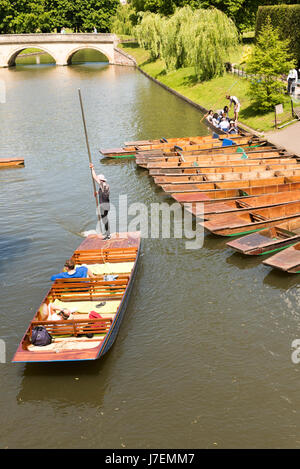 Cambridge, UK. 24. Mai 2017. Touristen genießen Stechkahn fahren auf dem Fluss Cam im heißen, sonnigen Wetter. Die Temperaturen erreichten 24,5 Grad Celsius und die Wettervorhersage ist für noch wärmeres Wetter im Osten Englands für das bevorstehende Wochenende und Feiertagen. Bildnachweis: Julian Eales/Alamy Live-Nachrichten Stockfoto