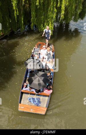 Cambridge, UK. 24. Mai 2017. Touristen genießen Stechkahn fahren auf dem Fluss Cam im heißen, sonnigen Wetter. Die Temperaturen erreichten 24,5 Grad Celsius und die Wettervorhersage ist für noch wärmeres Wetter im Osten Englands für das bevorstehende Wochenende und Feiertagen. Bildnachweis: Julian Eales/Alamy Live-Nachrichten Stockfoto