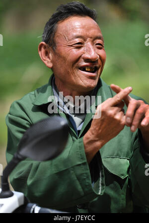 (170525)--NINGQIANG, 25. Mai 2017 (Xinhua)--Dorfbewohner Yao Jinlu stellt seine Viehzucht Plan in Hanshuiyuan Dorf Ningqiang County, Nordwesten der chinesischen Provinz Shaanxi, 23. Mai 2017. Hanshuiyuan Dorf entwickelt ökologische Lebensmittelverarbeitung und ökologischen Tourismus um Armutsbekämpfung unterstützen. Menschen vor Ort eingerichtet, Tee und Ginkgo Garten, gezüchtete chinesischen Riesensalamander und Hummel und traditionelle chinesische Medizin und Speisepilz kultiviert. Im Jahr 2016 beschäftigt insgesamt 2.009 Dorfbewohner in Hanshuiyuan im ökologischen Anbau und Zucht, mit einem durchschnittlichen Jahreseinkommen pro Person 5 Stockfoto