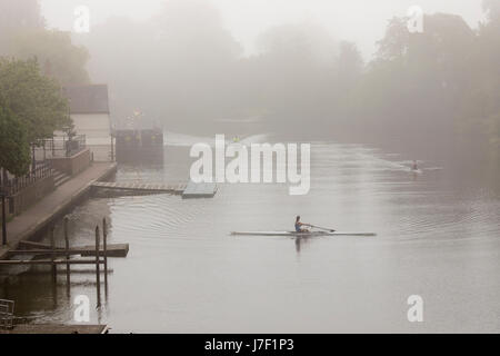 Chester, Cheshire, 25. Mai 2017 UK Wetter. Der Tag beginnt mit Nebel Küsten- und Binnengewässer Bereiche heute Morgen, bevor die Sonne es entfernt brennt, noch ein weiterer heißer Tag für viele in Großbritannien zu sein. Ein Nebel Start in Chester für diese Ruderer auf dem Fluss Dee, bevor es der heißeste Tag des Jahres so weit wird in diesem Jahr © DGDImages/Alamy Live News Stockfoto