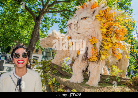London, UK. 25. Mai 2017. Ein Besucher genießt die floralen Löwen die Chelsea Fringe und Chelsea in der Blüte Floral Safari in Herzog von Yorks Square, in der Kings Road gehören. Sie wurden von All For Love, London geschaffen. Bildnachweis: Guy Bell/Alamy Live-Nachrichten Stockfoto