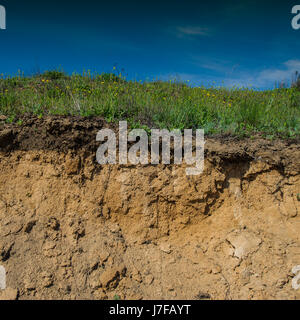 Bodenerosion in der Steppe Landschaft, Frühling Stockfoto