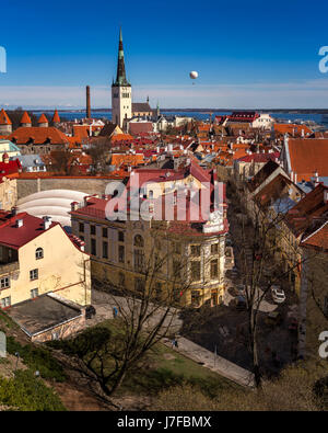 Luftbild der Altstadt von Tallinn und Olaviste Kirche aus dem Domberg, Tallinn, Estland Stockfoto