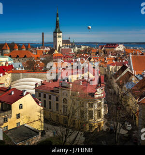 Luftbild der Altstadt von Tallinn und Olaviste Kirche aus dem Domberg, Tallinn, Estland Stockfoto