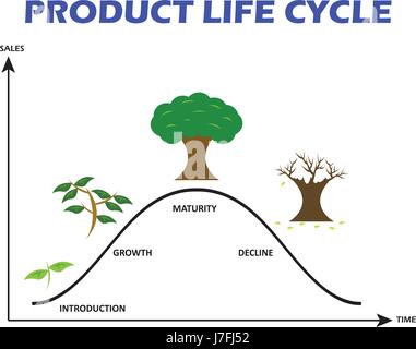 Produktlebenszyklus auf weißem Hintergrund als Baumansicht für wachsende Stock Vektor