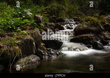 Fırtına Creek in Camlihemsin, Rize Stockfoto
