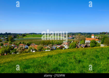 Weissensberg bei Lindau am Bodensee, Allgäu, Schwaben, Bayern, Deutschland Stockfoto