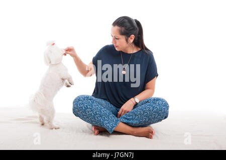 Schöne Frau spielt mit ihren niedlichen Welpen beim Hinsetzen auf weißem Hintergrund Stockfoto