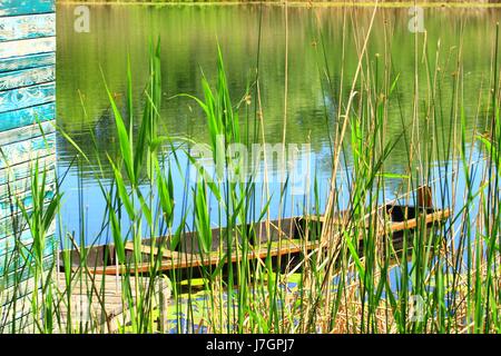 Natur Park Lonjsko Polje in Kroatien. Alten Holzboot im Gestrüpp. Stockfoto