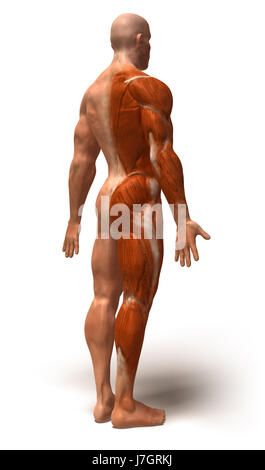 Bildung Gesundheit Sport Sport medizinisch medizinische Wissenschaft Motor Antriebsmotor Stockfoto