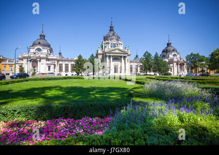 Szechenyi medizinischen Thermalbäder und Spa, Budapest, Ungarn. Stockfoto