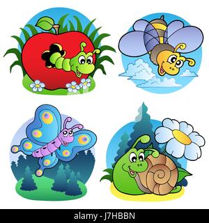 Tier Insekt Insekten Tiere kleine winzige kurze Würmchen Biene Lachen lacht Stockfoto