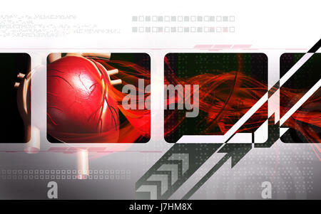 Bildung Gesundheit medizinisch medizinische Zirkulation Grafiken Farbe Wissenschaft menschlichen Stockfoto