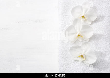 Drei Orchideen und weißem Frotteetuch auf schäbige Holzbrett liegen.  Von oben gesehen. Spa-Konzept. Stockfoto