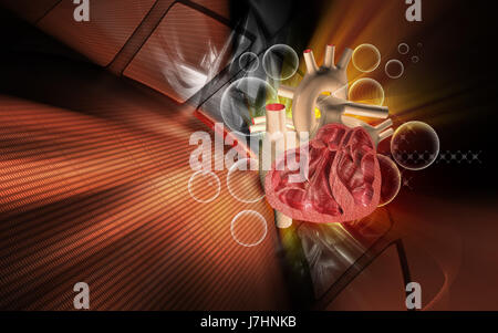 Bildung Gesundheit medizinisch medizinische Zirkulation Grafiken Farbe Wissenschaft menschlichen Stockfoto