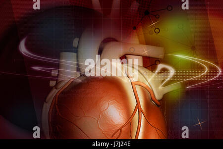 Bildung Gesundheit medizinisch medizinische Zirkulation Grafiken Farbe Wissenschaft menschlichen Stockfoto