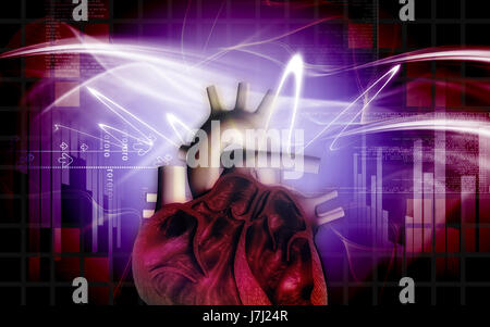 Bildung Gesundheit medizinisch medizinische Zirkulation Grafiken Farbe Wissenschaft menschlichen Stockfoto