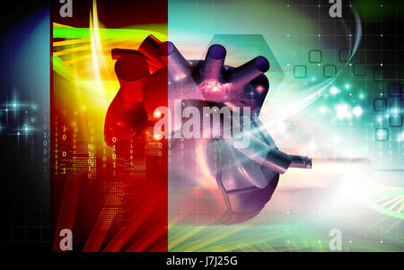 Bildung Gesundheit medizinisch medizinische Zirkulation Grafiken Farbe Wissenschaft menschlichen Stockfoto