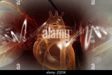 Bildung Gesundheit medizinisch medizinische Zirkulation Grafiken Farbe Wissenschaft menschlichen Stockfoto