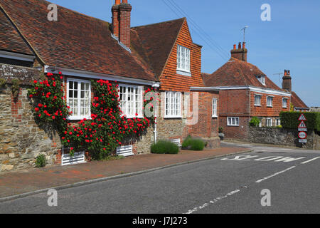 Rote Rosen gepflückt Windows in Winchelsea, East Sussex, UK, GB Stockfoto