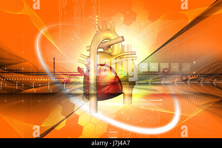 Bildung Gesundheit medizinisch medizinische Zirkulation Grafiken Farbe Wissenschaft menschlichen Stockfoto