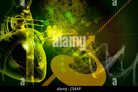 Bildung Gesundheit medizinisch medizinische Zirkulation Grafiken Farbe Wissenschaft menschlichen Stockfoto