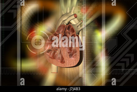 Bildung Gesundheit medizinisch medizinische Zirkulation Grafiken Farbe Wissenschaft menschlichen Stockfoto