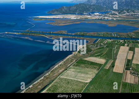 Plantagen am Neretva-Delta, Kroatien Stockfoto