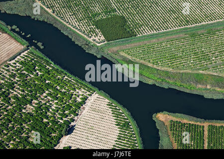 Plantagen am Neretva-Delta, Kroatien Stockfoto