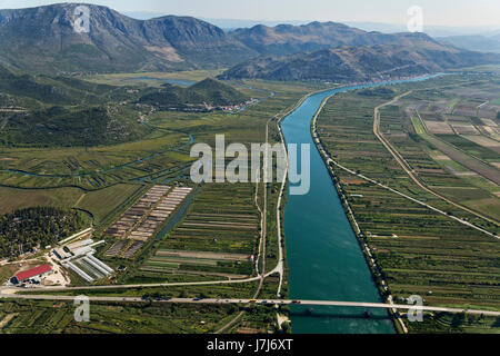 Plantagen am Neretva-Delta, Kroatien Stockfoto