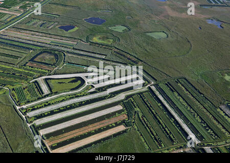 Plantagen am Neretva-Delta, Kroatien Stockfoto